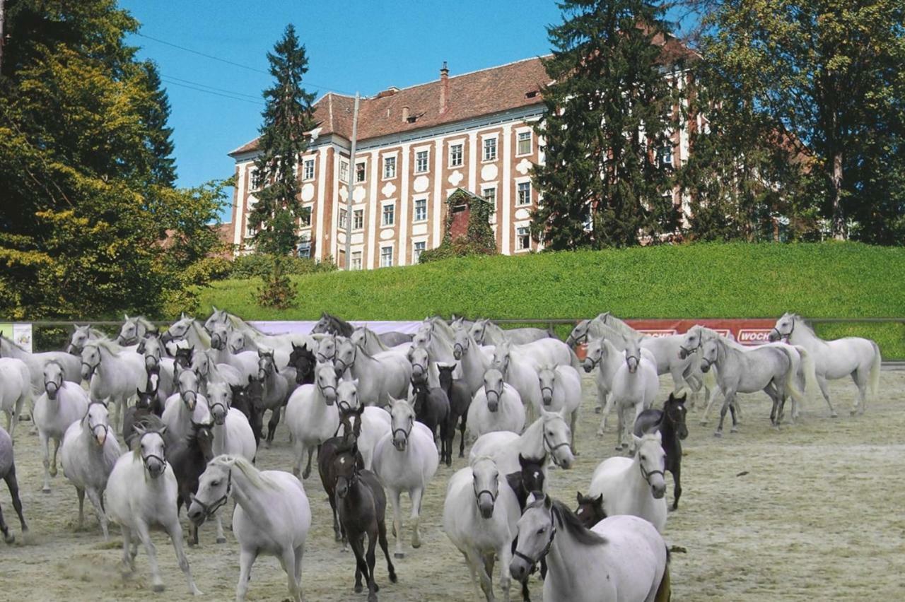 Haus Söding Villa Soding Exteriör bild